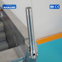Voedselveilige borstelwas- en schilmachine met pomp, lage breukgraad voor kurkuma, bieten, yam, fruitreiniging en diepvriesgroenten