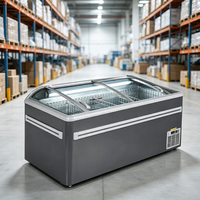Congélateur commercial 530L à 2 portes coulissantes avec vitre incurvée, économie d'énergie, dégivrage automatique à gaz chaud, éclairage LED, contrôle numérique