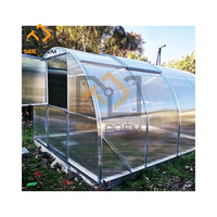 Serre tunnel économique personnalisable pour jardin, serre de jardinage à accès direct