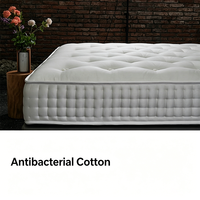 Matelas en Cachemire Rembourré pour la Maison, Matelas à Ressorts Ensachés en Fibres Végétales Écologiques, Anti-humidité et Antibactérien, 9.06/10.24/11.81 Pouces, OEM