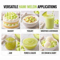 Diepvries Hami Meloen Diepvries Cantaloupe Ronde Vruchten Zonder Toevoegingen Diepvries Fruit in Bulk voor Smoothies en Desserts