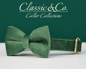 Forest Veet – collier personnalisé pour chien, ensemble laisse et nœud papillon, gravure personnalisée du nom de l'animal, boucle en métal, cadeau d'anniversaire pour chiot, livraison gratuite - Product Image 4