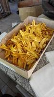 FC-501 Banaan- en plantainchips-snijmachine met motor, 304 roestvrij staal, 220V/380V