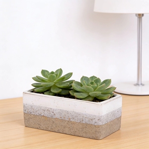 <span class=keywords><strong>Maceta</strong></span> de Cerámica Moderna de Lujo para Bonsái, Acabado Esmaltado, Uso en Interiores, Rectangular, para Suculentas, Color Marrón, para Hogar y Jardín - Product Image 2