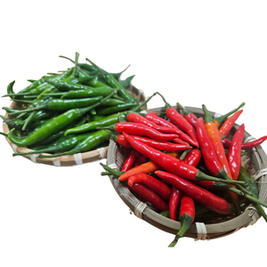 พริกไทยทางการเกษตรแบบเวียดนามสีแดงสดเครื่องเทศสมุนไพรแปรรูปแบบเดี่ยวราคาดีขายส่งอาหารและเครื่องดื่ม - Product Image 5