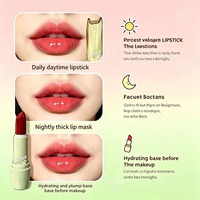 LSFAIRY LG160 Rouge à lèvres mat longue tenue non hydratant personnalisable, ensembles d'emballage en tube pour la vente en gros, végétalien, personnalisable, contour privé