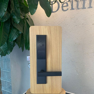 Sistema de Cerradura de Puerta de Hotel RFID Inteligente Deluns para Control de Acceso en Hostelería con Red Inalámbrica y Gestión <span class=keywords><strong>Central</strong></span> - Product Image 2
