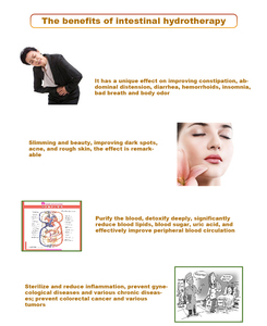 Máquina Profesional de Hidroterapia de Colon 2026: Pantalla digital, control preciso de temperatura, con esterilización por ozono y protección contra sobrecalentamiento - Product Image 4