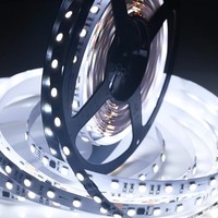 Bande lumineuse numérique RGBW 12V 50mm, haute luminosité, 60 LED/m, couleur RGB modifiable, programmable, intelligente, 12V