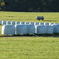 Film d'emballage pour balles d'ensilage blanc de qualité supérieure, résistant aux UV, film étirable agricole en PE pour le stockage du foin et des fourrages