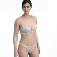 Hete Sexy Lingerie Vrouwen Transparant Groothandel Nylon En Spandex Naadloze Mesh Ondergoed Push-Up Doorzichtige Beha En Panty Set