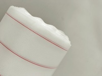 Tissu de dépose en nylon haute température 85 g/m² avec ligne de traçage rouge pour moule de pale d'éolienne de 100 m