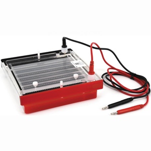 CHINCAN DYCP-44P Horizontal Nucleic Acid Electrophoresis System 2000ml OEM <b>Plastic</b> - Product Image 3