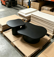Meubles de salon modernes de luxe, ensembles de tables basses modernes, design noir urbain, usage domestique et professionnel irrégulier