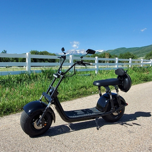 Nouveau modèle 2021, scooter moto avec batterie amovible 2000W 20AH - Product Image 4