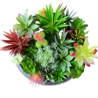 Mini Succulent Bonsaï Arbre Simulations Plante Verte Décorations Cactus Ornements En Gros pour Thanksgiving Occasions De Pâques