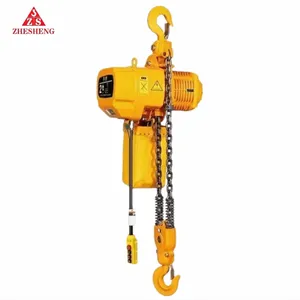 Customized Electric Chain Hoist 110v 220v 380v 440v 1ton 5 Ton Electric Hoist Crane