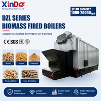 Chaudière à vapeur au charbon DZL4-1.25-AII 4000 kg 4 tonnes/h pour machine à carton ondulé