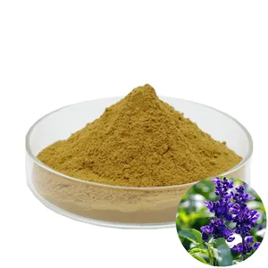 High Quality Sage Powder Clary Sage Extract Powder Sage Leaf Extract