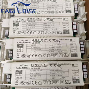 EAGLERISE LS-75-24 LI EXC 75W 24V <b>12V</b> AC-DC <b>LED</b> Driver Constant Voltage Power Supply for Flood <b>Light</b> & <b>LED</b> <b>Strip</b> Lighting - Product Image 1