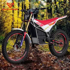 Xe đạp leo núi điện Bắc cực báo E ở 800 off-road khung hợp kim titan Xe máy điện 2024 nóng