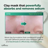 [Isntree] Masque à l'argile apaisant à l'armoise 100ml avec 6 sérums pour le contrôle du sébum et l'élimination des points noirs, masque à rincer