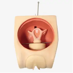 Modèle de préservatif féminin, modèle de <span class=keywords><strong>contraception</strong></span>, simulateur de <span class=keywords><strong>contraception</strong></span> féminine - Product Image 1