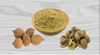 Meilleur Prix Poudre de Fruit de Terminalia Bellerica Sauvage d'Inde Qualité Alimentaire Extrait Végétal Complément Nutritionnel en Fût