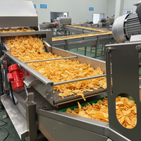 Semi-automatische elektrische hoogcapaciteitslijn voor de verwerking van aardappelchips, groenten en fruit, inclusief friteuse voor de snackvoedselindustrie