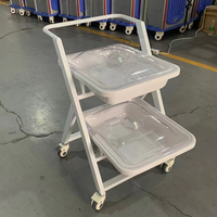 Carro de Transporte para Endoscopios - Carro Médico de Doble Capa para Equipos de Gastroscopia y Broncoscopia