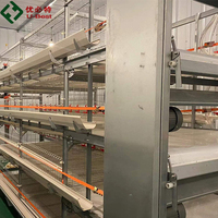 Cages à poulets automatiques de type H pour poulets de chair, équipement avicole automatique pour ferme avicole au Kenya