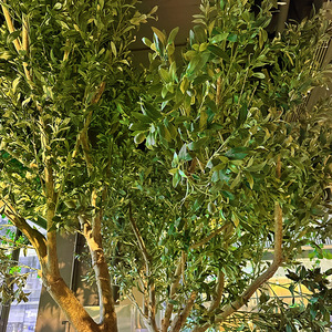 Olla de <span class=keywords><strong>olivo</strong></span> artificial para interiores, personalizada, para el hogar, hotel, <span class=keywords><strong>interior</strong></span>, restaurante, hoteles, flores decorativas para interiores, plantas, para el hogar, el hotel, el <span class=keywords><strong>interior</strong></span> - Product Image 5