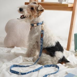 M animales algodón perro Collar cómodo y elegante moderno elegante diseño personalizado suave y duradero ODM OEM al por mayor - Product Image 3