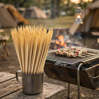 Milieuvriendelijke Xizhu bamboe BBQ spiesjes & satay stokjes - 100% biologisch afbreekbaar, voor gebruik tijdens kamperen, 80-100 stuks
