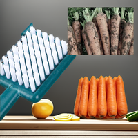 Nouveauté 2026 Tendance : Brosse Éplucheuse Multifonction 4-en-1 Sans Fil en Plastique pour Légumes et Pommes de Terre
