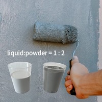 Peinture imperméable à base de ciment JS en gros, résistante au chlore, revêtement antidérapant pour terrasse de piscine, couleur personnalisable pour les murs