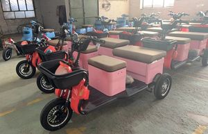 New Model Adult Electric Tricycles 3 Three Wheels Electric <strong>Motorcycle</strong> Bicycles for Passenger <strong>with</strong> <strong>Roof</strong> - Product Image 2