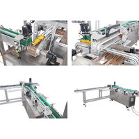 Machine d'emballage entièrement automatique pour sachets de crème glacée, ligne de conditionnement en cartons pour petites boîtes et bouteilles, avec fonction de comptage