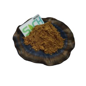 純天然五味子エキス粉末 5% 五味子エキス - Product Image 1