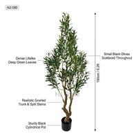 Olivo Artificial Mediterráneo de 1.8m con Tronco Retorcido y Esculpido, Frutos Negros, Planta de Seda Ecológica y Duradera para Hotel o Boutique