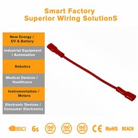 Drahtstifte 300mm und Bindedraht 0,3m pro Stift mit 6 Stiften Schwarzer Elektrischer Flachdraht für Anwendungen mit Anpassbarer Länge