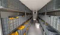 Conteneurs frigorifiques solaires de 40 pieds avec compresseurs Copeland/Sanyo/Daikin pour la viande, les fruits, les légumes et le poisson