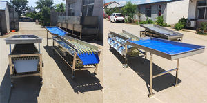 Comercial Litchi Limón Tamaño Clasificación Granada <span class=keywords><strong>Tomate</strong></span> Saladett Kiwi <span class=keywords><strong>Tomate</strong></span> Clasificación Máquina - Product Image 3