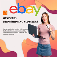 优质 eBay 商店设计服务定制电子商务网站开发专家，提供响应迅速、用户友好、可扩展的解决方案