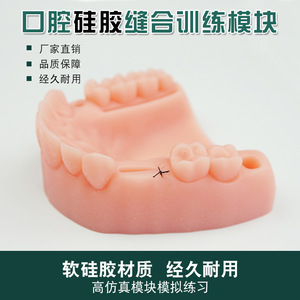 ชุดฝึกเย็บแผลในช่องปากแบบ 3 ชิ้น รุ่นที่ดีที่สุด ทำจากซิลิโคน สำหรับการฝึกอบรมทางทันตกรรมเพื่อการศึกษาทางการแพทย์ - Product Image 2