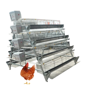 อุปกรณ์เลี้ยงไก่แบบแบตเตอรี่ โรงเรือนเลี้ยงไก่ สำหรับกรงไก่แบบ Rtl พร้อมกรงสำหรับไก่ไข่ - Product Image 3