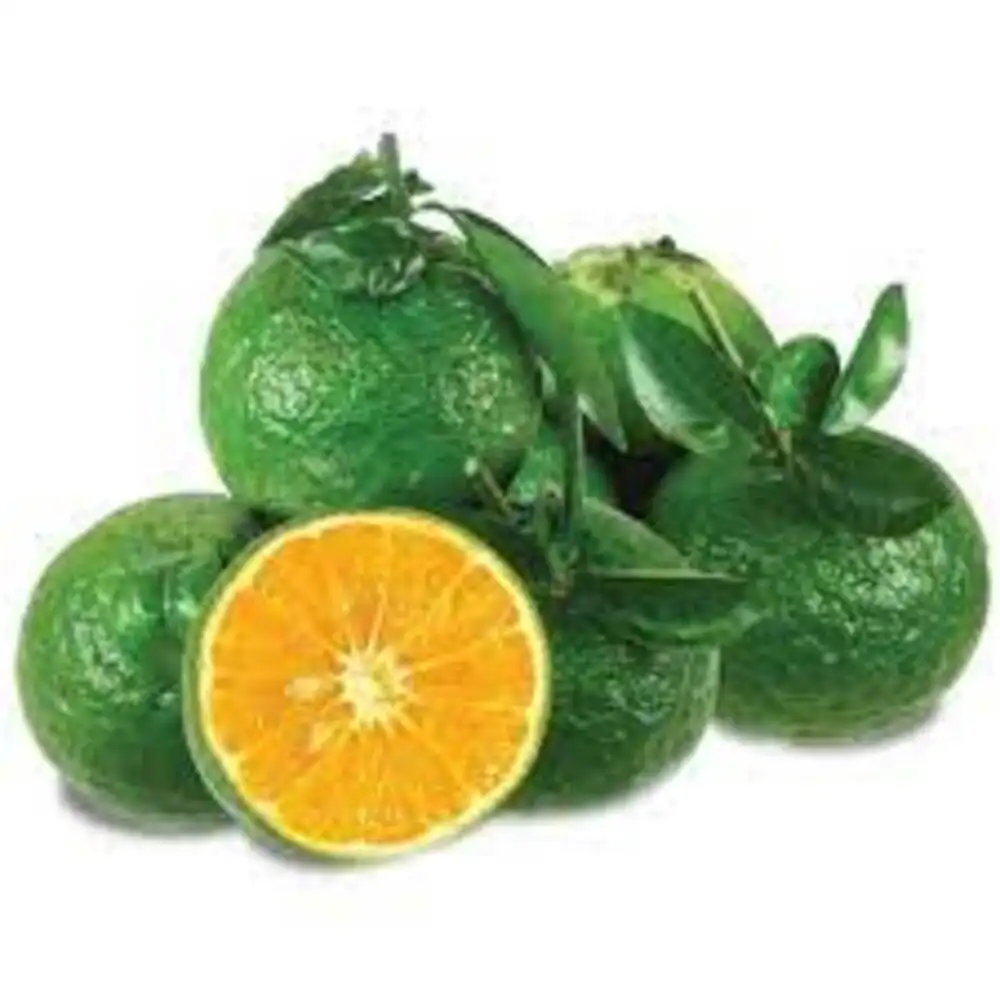 Orange gingembre taille de 8 à 13 cm de diamètre, couleur jaune, Orange douce, Style personnalisé, fruits agrumes frais du Vietnam