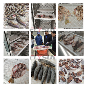 Máquina de Secado de Mariscos con Bomba de Calor Automática de Alta Eficiencia y la Mejor Calidad, Equipo de Deshidratación de Pescado y Camarones, Ahorro de Energía - Product Image 6