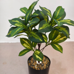 Árbol del Dinero Artificial, Planta Verde Decorativa en Maceta, Bonsái con Hojas de Dinero para Interiores, Sala de Estar - Product Image 2