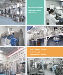 Rainwood Bột Chiết Xuất Từ Rễ Nghệ Chất Lượng Cao Giá Tốt Nhất - Product Image 4